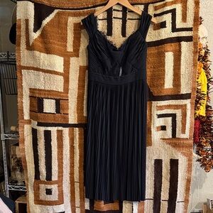 NET Elegant Black Pleated Dress